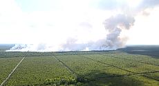 IST