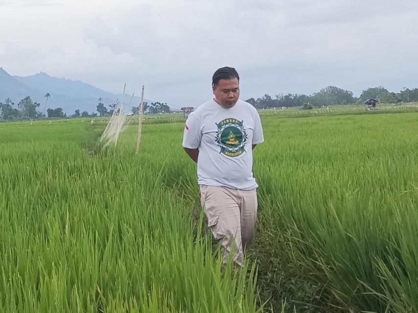 IST