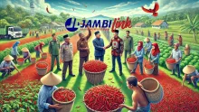 Ilustrasi Jambi Link