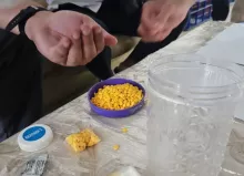 IST