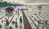 Ilustrasi Jambilink.id
