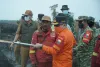 Ist